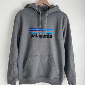 Patagonia Men's Gray Logo Hoodie